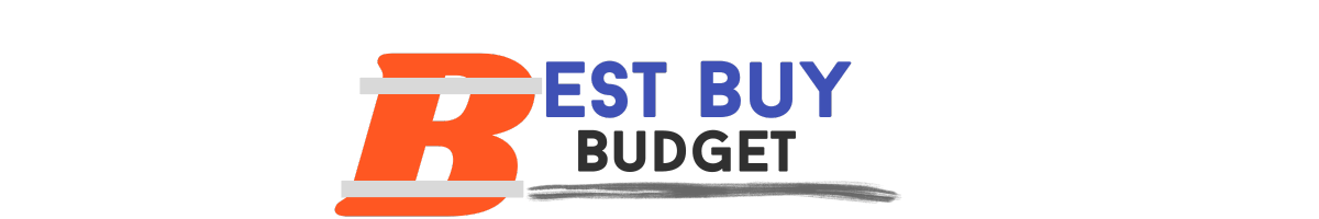 best buy budget logo